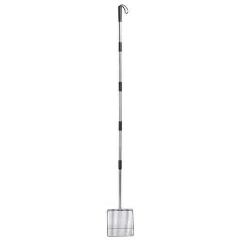 HUSHUI Heavy Duty Hähnchen -Gülle Schaufel, Haustierkacke Schaufel, Einfach Putzen Edelstahl Nicht -Stick für Viehbetriebe HUSHUI Heavy Duty Hähnchen -Gülle Schaufel, Haustierkacke Schaufel, Einfach Putzen Edelstahl Nicht -Stick für Viehbetriebe von HUSHUI