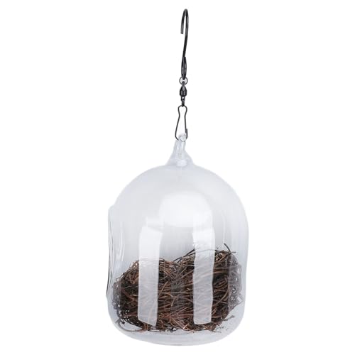 HUSHUI Transparentes Glasvogelhaus, Regendes Hängendes Kolibri -Nest mit Starkem Haken für den Innen des Gartens Im Freien Im Freien HUSHUI Transparentes Glasvogelhaus, Regendes Hängendes Kolibri -Nest mit Starkem Haken für den Innen des Gartens Im Freien Im Freien von HUSHUI