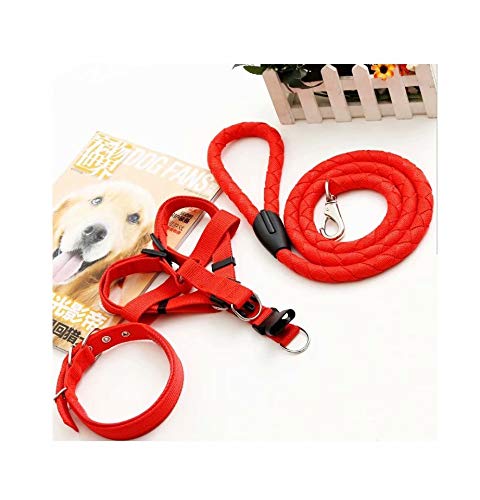 N&P HOQUSA for 3-teiliges Haustier-Set, langlebige Hundeleine, verstellbares Nylon-Hundehärte, weich gepolstertes Halsband for Welpen, verstellbares Geschirr-Set/747 N&P HOQUSA for 3-teiliges Haustier-Set, langlebige Hundeleine, verstellbares Nylon-Hundehärte, weich gepolstertes Halsband for Welpen, verstellbares Geschirr-Set/747 von HUSHUWAN