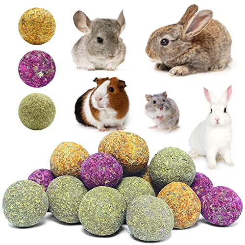 9 Stück Kaninchen Kauspielzeug, Hamster Kauen Zähne Schleifen Spielzeug, Natürlichen Rose/Ringelblume/Vergissmeinnicht Grasball, Kleintiere Zahnpflege Snacks für Kaninchen Meerschweinchen Chinchilla 9 Stück Kaninchen Kauspielzeug, Hamster Kauen Zähne Schleifen Spielzeug, Natürlichen Rose/Ringelblume/Vergissmeinnicht Grasball, Kleintiere Zahnpflege Snacks für Kaninchen Meerschweinchen Chinchilla von HUTVD