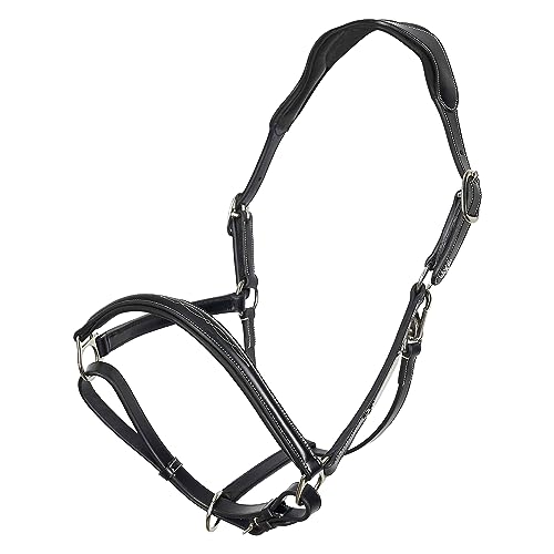 Halfter HVPLegacy von HV Polo