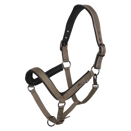 HV Polo Headcollar HVPEssential, Stone, P von HV Polo