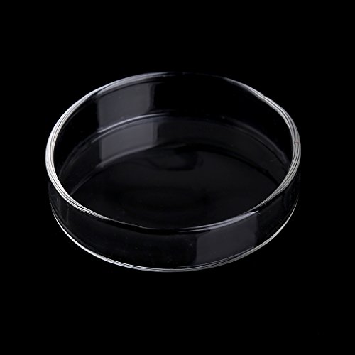 Aquarium Garnelenschale Hohe Transparente Acrylfuttermittel Für Die Untere Fütterung Fisch Futter Schüssel 2.4x0 6 Zoll Rundschale Runde Tablett von HVRFJXI