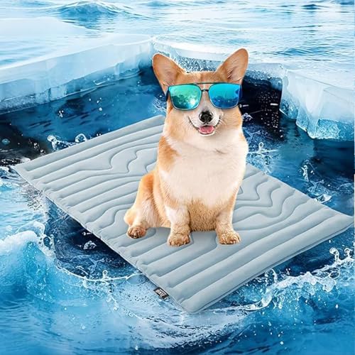 Pfotenchill Kühlmatte Hund, Kühldecke Katze Ohne Gel, Pfoten Chill - Die Innovative Kühlmatte für Hunde, Kühlmatte Hund Aus Kühlgewebe Wendbar, Selbstkühlende Pads (Hellblau, M: 90 x 60 cm) von HVZUYY