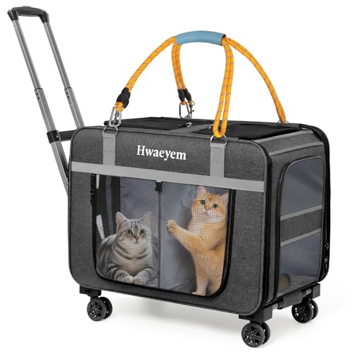 Extra große Haustier-Katzentragetasche mit Rollen, Haustier-Tragetasche für 2 Katzen oder mittelgroße Hunde, 61 x 38,1 x 43,2 cm, tragbare Hunde- und Katzenbox für große Katzen, unterstützt bis zu 18 Extra große Haustier-Katzentragetasche mit Rollen, Haustier-Tragetasche für 2 Katzen oder mittelgroße Hunde, 61 x 38,1 x 43,2 cm, tragbare Hunde- und Katzenbox für große Katzen, unterstützt bis zu 18 von HWAEYEM