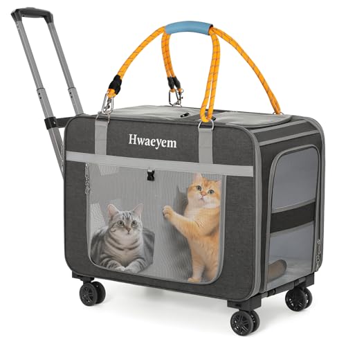 Extra große Katzentragetasche für 2 Katzen mit Rollen, 61 x 38,1 x 43,2 cm, Doppel-Fächer, Katzen-Auto-Reisetasche, atmungsaktiv, rollende Hundetragetasche für kleine Hunde mit Reißverschlüssen Extra große Katzentragetasche für 2 Katzen mit Rollen, 61 x 38,1 x 43,2 cm, Doppel-Fächer, Katzen-Auto-Reisetasche, atmungsaktiv, rollende Hundetragetasche für kleine Hunde mit Reißverschlüssen von HWAEYEM