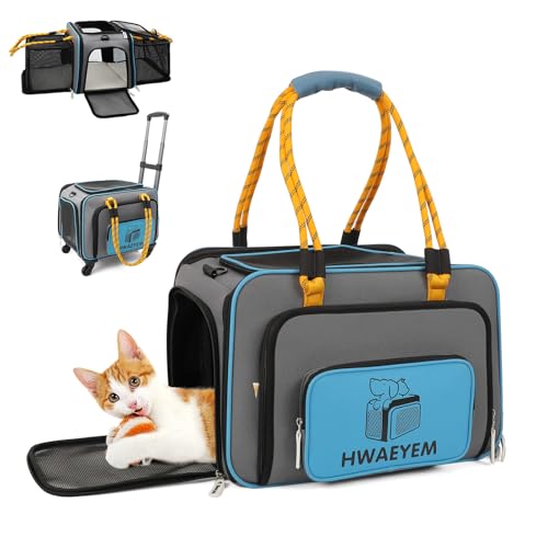 Katzentransportbox Transporttasche mit Rollen Kleine Hund Kleine und Mittelgroße Kleintiere Transportboxen für Flugzeug Haustiere Reisen Wagen Rollen mit Teleskopgriff Schultergurt Abnehmbare Räder von HWAEYEM
