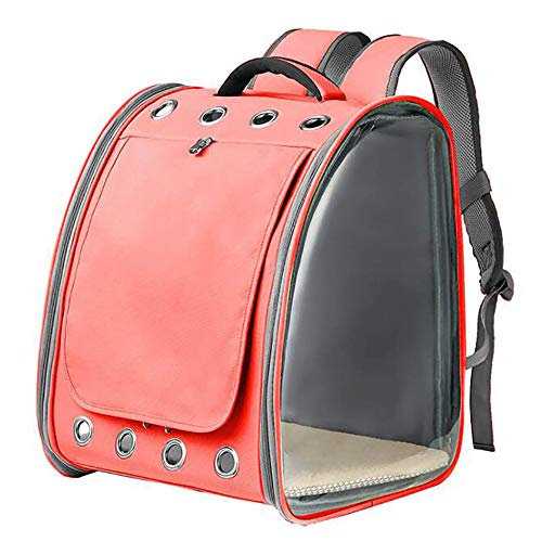 Hunde Katze Tragetasche Haustier Rucksack Transparent Faltbare Atmungsaktive TrageköRbe mit Netzfenster, FüR Reisezugwagen/E / 340×320×430mm von HXFENA