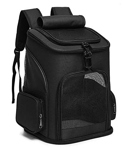 Katzentragetasche, Faltbarer Tragetasche FüR Katzen und Kleine Hunde, mit BelüFtetem Innensicherheitsgurt FüR Camping-Camping-Wanderungen/C / 330×260×400mm Katzentragetasche, Faltbarer Tragetasche FüR Katzen und Kleine Hunde, mit BelüFtetem Innensicherheitsgurt FüR Camping-Camping-Wanderungen/C / 330×260×400mm von HXFENA