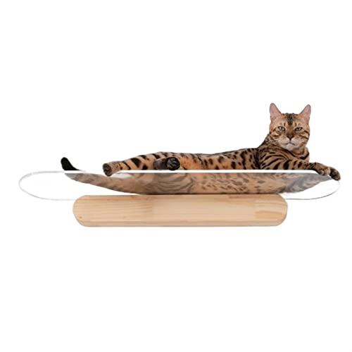 Katzenbaum für große Katzen, Acrylrahmen für Katzen, Wandsprungplattform für Katzen, Kletterspielzeug, Katzenvision Katzenbaum für große Katzen, Acrylrahmen für Katzen, Wandsprungplattform für Katzen, Kletterspielzeug, Katzenvision von HXFFXHF