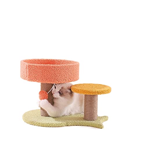 Katzenbaum für große Katzen, Katzenklettergerüst, Katzennest, Katzenbaum, einteilig, Himmelssäule, Nest, Katzensprungplattform, solides Spielzeug, Katzenbedarf, Kratzbrett für Katzen (Größe: 1) Katzenbaum für große Katzen, Katzenklettergerüst, Katzennest, Katzenbaum, einteilig, Himmelssäule, Nest, Katzensprungplattform, solides Spielzeug, Katzenbedarf, Kratzbrett für Katzen (Größe: 1) von HXFFXHF