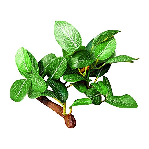 HXHON Terrarium-Pflanze, für Reptilien, Kunststoff, für Aquarien, Gras, Landschaftsbau, Dekoration von HXHON