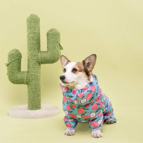 Golden-Retriever-Kostüm Corgi Voll eingewickelter wasserdichter Regenmantel Oberbekleidung Weicher Kapuzenpulli Vierbeinige Hundekleidung Atmungsaktiver Overall Golden-Retriever-Kostüm Corgi Voll eingewickelter wasserdichter Regenmantel Oberbekleidung Weicher Kapuzenpulli Vierbeinige Hundekleidung Atmungsaktiver Overall von HXKJ