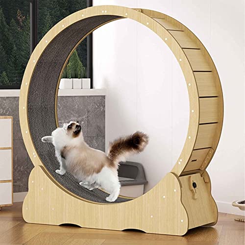 Cat Wheel Training Pet Treadmill Machine Massivholz Roller Katzenspielzeugkatze Kratzplatte Haustier Spielzeuglaufmühle mit Teppichstraße für Zuhause Cat Wheel Training Pet Treadmill Machine Massivholz Roller Katzenspielzeugkatze Kratzplatte Haustier Spielzeuglaufmühle mit Teppichstraße für Zuhause von HXLDZOU