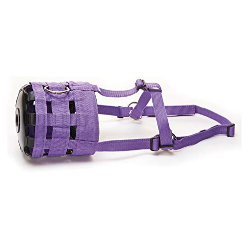 Y-H 5027286006439 Hy Maulkorb (wählen Sie aus den Farben Lila oder Schwarz und Größen Xtra Small Pony, Cob, Full oder X Full) – verlangsamt das Weiden des Pferdes von HY