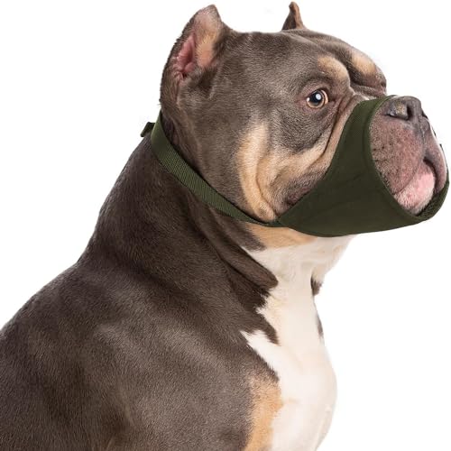 HYHIOTS Maulkorb Hunde für Kleine Mittlere Hunde, Giftköderschutz Verhindert Fressen Bellen für Chihuahua, Shih Tzu Bulldogge, Pitbull (Grün, L) HYHIOTS Maulkorb Hunde für Kleine Mittlere Hunde, Giftköderschutz Verhindert Fressen Bellen für Chihuahua, Shih Tzu Bulldogge, Pitbull (Grün, L) von HYHIOTS
