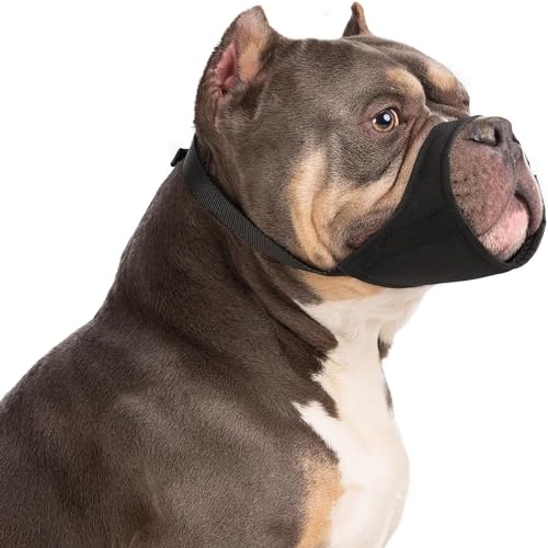 HYHIOTS Maulkorb Hunde für Kleine Mittlere Hunde, Giftköderschutz Verhindert Fressen Bellen für Chihuahua, Shih Tzu Bulldogge, Pitbull (Schwarz, L) HYHIOTS Maulkorb Hunde für Kleine Mittlere Hunde, Giftköderschutz Verhindert Fressen Bellen für Chihuahua, Shih Tzu Bulldogge, Pitbull (Schwarz, L) von HYHIOTS