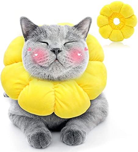 HYLYUN Halskrause Katze, Einstellbarer Halskrause Katze Halsband, Weich Sonnenblume Katze Wiederherstellung Halsband Kragen Cone für Katzen Kleiner Hunde Nach Operation und Verletzungen von HYLYUN