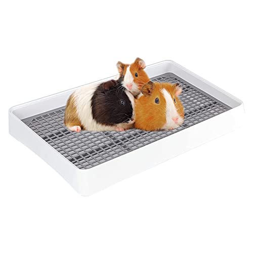 HYLYUN Meerschweinchen Toilettesmit Gitterrost-Kaninchenstreu Kasten Toilette Töpfchen Trainer Eckstreu für Meerschweinchen, Hamster, Chinchilla, Frettchen, Galesaur-Käfig-Toilette von HYLYUN