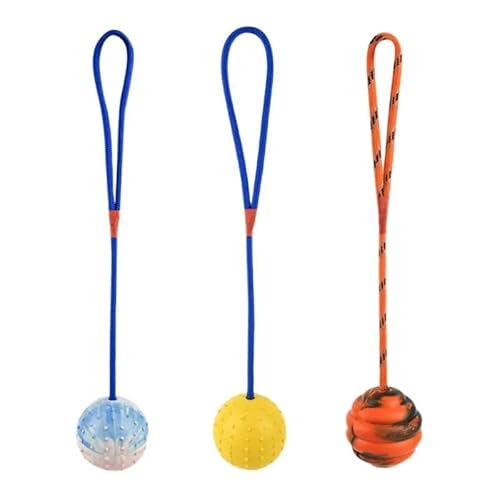 Hundetrainingsspielzeug for Hunde, Naturkautschukball am Seil, Kauball for Zähneputzen for lustige Übungen im Freien(O) von HYRSXN