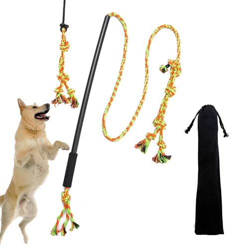 Reizangel Hunde, Reizangel für Hund Große Längenverstellbare, Aktives Hundespielzeug Unzerstörbar, Hundetraining mit Knotenspielzeug Grün und Orange von HYSHLC