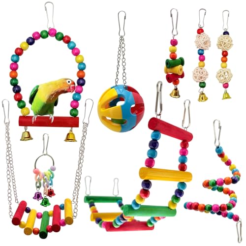 HYSHLC Papageienspielzeug-Set mit Schaukel, Leiter, Glocken, Ball, Naturholz, Vogelkäfigzubehör für Sittiche, Nymphensittiche, Sittiche, Sittiche, Sittiche, Sittiche, Sittiche, Wellensittiche, 10 HYSHLC Papageienspielzeug-Set mit Schaukel, Leiter, Glocken, Ball, Naturholz, Vogelkäfigzubehör für Sittiche, Nymphensittiche, Sittiche, Sittiche, Sittiche, Sittiche, Sittiche, Wellensittiche, 10 von HYSHLC