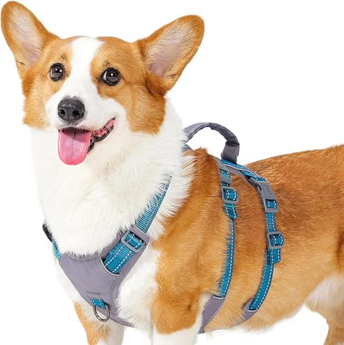 Sicherheitsgeschirr Hund, Ausbruchsicher, Panikgeschirr, Reflektierendes Geschirr mit Griff, Hundegeschirr Stabilen Eindruck für kleine, mittelgroße und große Hunde von HYSHLC