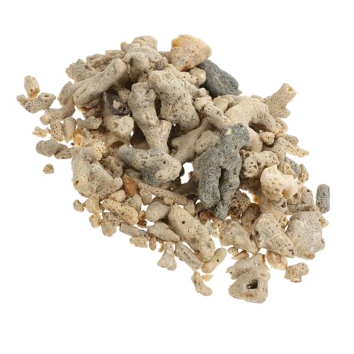 HYTROVE 1 Korallenfilter Für Aquarien Aquariumzubehör Zerkleinerte Korallen Für Süßwasseraquarien Tank Anlage Filtersteine ​​für Aquarien Korallensteine ​​filtern Luft Netz Korallenknochen von HYTROVE