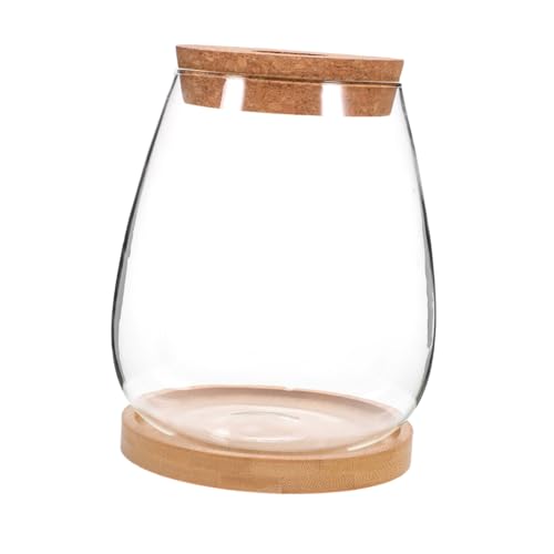HYTROVE 1 Satz Glasterrarium mit Deckel für Pflanzen Hydrokultur Flasche DIY Pflanzenbehälter für Innenräume Balkon und Garten Langlebig und zur Dekoration und Aufbewahrung von HYTROVE