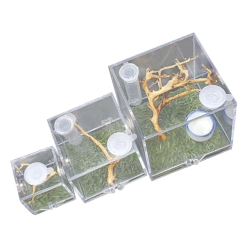HYTROVE 3Stücke Transparente Spinnenbehälter aus Springende Spinnen Habitatbox mit Atmungsaktiven Lüftungsöffnungen für Insekten und Kleine Reptilien Vielseitig Einsetzbar HYTROVE 3Stücke Transparente Spinnenbehälter aus Springende Spinnen Habitatbox mit Atmungsaktiven Lüftungsöffnungen für Insekten und Kleine Reptilien Vielseitig Einsetzbar von HYTROVE
