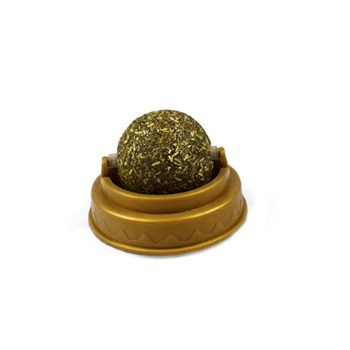HYTROVE 5Stücke Katzensnack Katzenminze Lutscher Verschiedenen Rotierender Ball Katzenkrallen Bärchenkopf Fördert Verdauung und Bewegung HYTROVE 5Stücke Katzensnack Katzenminze Lutscher Verschiedenen Rotierender Ball Katzenkrallen Bärchenkopf Fördert Verdauung und Bewegung von HYTROVE