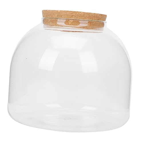 HYTROVE DIY Landschafts Glasflasche Transparente Terrarium Flasche für Kreative und Außendekoration für Pflanzen und Miniatur Landschaften mit Korken von HYTROVE