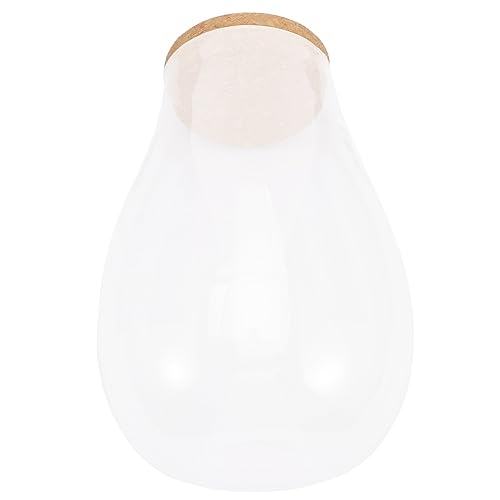 HYTROVE DIY Ökologisches Glasgefäß für Mooslandschaften Betta Flasche für Wasserpflanzen Innenraum Deko für Garten Büro und Zuhause von HYTROVE