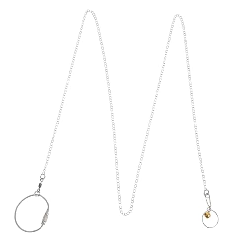 HYTROVE Vogelhalsband Aus Stahl und Glöckchen 1 M Lange Fußkette für Papageien Bequem und für Nymphensittiche Spielzeug HYTROVE Vogelhalsband Aus Stahl und Glöckchen 1 M Lange Fußkette für Papageien Bequem und für Nymphensittiche Spielzeug von HYTROVE
