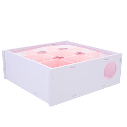 HYTROVE Acryl Hamsterlabyrinth Spielzeug Kreatives Spielzeug Für Kleine Tiere Sicher Und Lustig Für Zwerghamster Mäuse Und Andere Kleintiere von HYTROVE