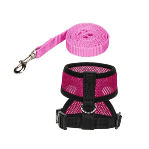 HYTROVE Hühnervest mit Leine Verstellbares Trainingsgeschirr für Hühner und Enten Atmungsaktiv Komfortabel für Outdoor Aktivitäten Design aus Canvas von HYTROVE