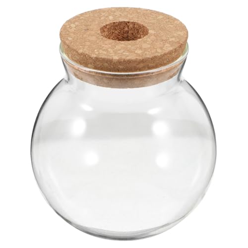 HYTROVE Hydrokulturvase Dekorationsfüller Rundes Terrarium Aus Glas Für Die Inneneinrichtung Im Büro HYTROVE Hydrokulturvase Dekorationsfüller Rundes Terrarium Aus Glas Für Die Inneneinrichtung Im Büro von HYTROVE