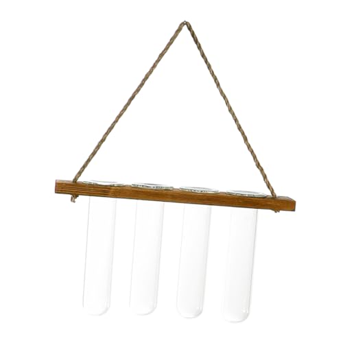 HYTROVE Hydroponische Vase Aus Glas Mit Wandmontage Für Pflanzen Moderne Dekoration Für Wohnzimmer Küche Oder Balkon Installieren Pflegen HYTROVE Hydroponische Vase Aus Glas Mit Wandmontage Für Pflanzen Moderne Dekoration Für Wohnzimmer Küche Oder Balkon Installieren Pflegen von HYTROVE