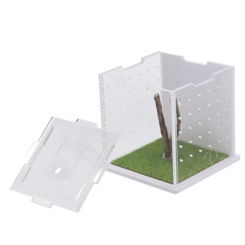 HYTROVE Kasten Springspinnen-zuchtbox Lebensraumkäfig Für Insekten Zuchtbehälter Springspinnen-Terrarium Fütterung Fall Insektenbehälter Insektenlebensraum Fall Reptilfall Acryl HYTROVE Kasten Springspinnen-zuchtbox Lebensraumkäfig Für Insekten Zuchtbehälter Springspinnen-Terrarium Fütterung Fall Insektenbehälter Insektenlebensraum Fall Reptilfall Acryl von HYTROVE