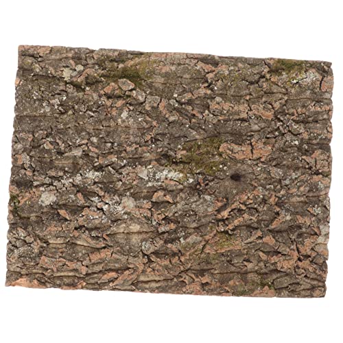 HYTROVE Korkrinde für Reptilien Natürliche Kletterplattform für Terrarien Premium Korkmaterial für Schildkröten und Eidechsen eine Authentische Umgebung von HYTROVE