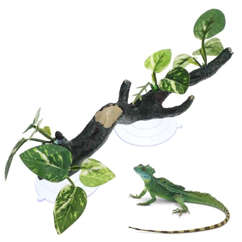 HYTROVE Künstlicher Reptilienbaum aus Harz Terrarium für Eidechsen Schlangen und Bartagamen Kletterast für Reptilien Sicher und Robust von HYTROVE