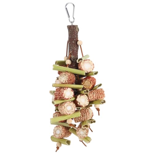 HYTROVE Papageien Kauspielzeug aus Holz Hängendes für Vögel Sicher und Dekorativ Fördert Aktivität und Unterhaltung für Graupapageien Sittiche und Conures von HYTROVE