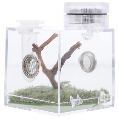 HYTROVE Sprungspinnen Habitat Box Zucht und Lagerbox mit Lampen für Sprungspinnen Insekten und Kleine Reptilien Flip Tür für Einfache Fütterung HYTROVE Sprungspinnen Habitat Box Zucht und Lagerbox mit Lampen für Sprungspinnen Insekten und Kleine Reptilien Flip Tür für Einfache Fütterung von HYTROVE