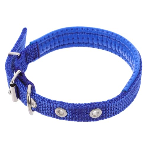 HYTROVE Stilvolles Katzenhalsband Für Hunde Verstellbare Größe Bequem Weiche Polyester-Legierung Schnalle Dekorativ S HYTROVE Stilvolles Katzenhalsband Für Hunde Verstellbare Größe Bequem Weiche Polyester-Legierung Schnalle Dekorativ S von HYTROVE