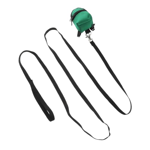 HYTROVE Verstellbares Tragegeschirr für Bartagamen und Kleine Haustiere Tragbare Tasche für Outdoor und Reisen Grün von HYTROVE