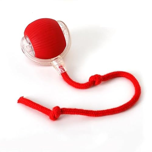 HYUIND Automatisches Smart-Spielzeug for Katzen, magisches Hundespielzeug, rollender Ball for das Training von Katzen im Innenbereich, 360° intelligenter automatischer Rollball(1) von HYUIND