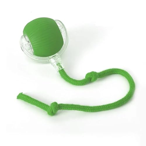HYUIND Automatisches Smart-Spielzeug for Katzen, magisches Hundespielzeug, rollender Ball for das Training von Katzen im Innenbereich, 360° intelligenter automatischer Rollball(3) von HYUIND