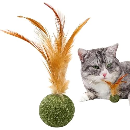 HYUIND Katzenminze Ball Feder Katzenspielzeug Ball Feder Katzenzahnreinigung Katzenspielzeug Katzenminze Ball Interaktives Kauen Katzenminze Heimtierbedarf HYUIND Katzenminze Ball Feder Katzenspielzeug Ball Feder Katzenzahnreinigung Katzenspielzeug Katzenminze Ball Interaktives Kauen Katzenminze Heimtierbedarf von HYUIND