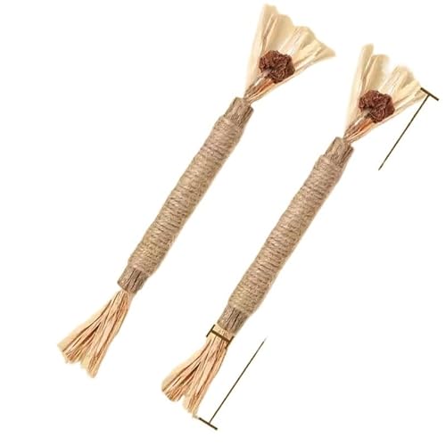 HYUIND Katzenminze-Katzenspielzeug, natürlicher Katzensnack-Stick, reinigt Zahn- und Haarentferner und fördert die Verdauung, Silvervine-Kauspielzeug for Kätzchen(2 pcs small Stick) von HYUIND