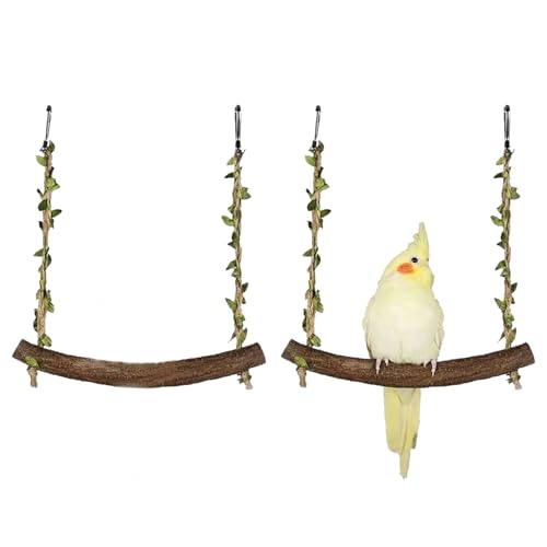 2 Stück Vogel Schaukel, Vogelspielzeug für Wellensittiche, Vogel Zubehör, Schaukel Zubehör, für Kleine Bis Mittelgroße Vögel, Ideal für Käfiganreicherung und Stressabbau von HYZSHL